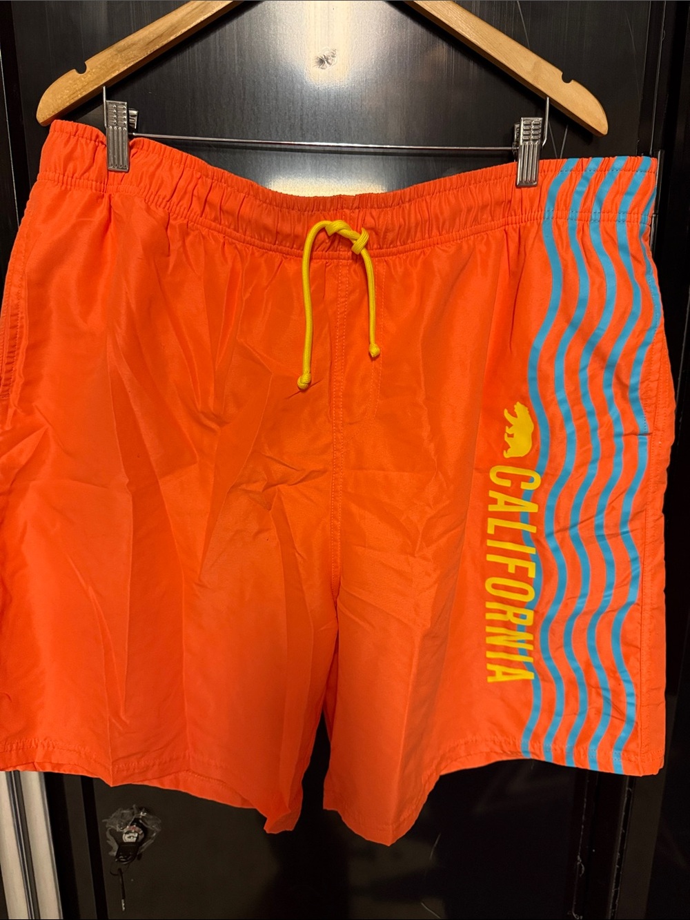 Creative Apparel Men's Swim Trunks
